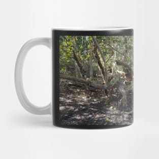 Mangrove Trail Mug